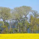 Katharinenhof 