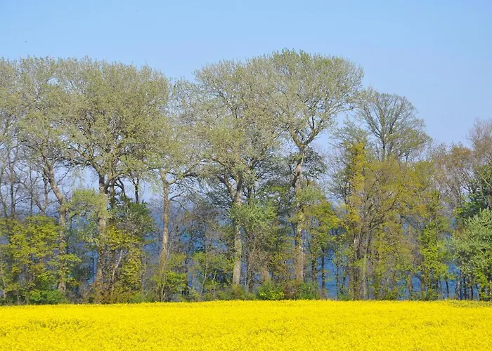 Katharinenhof 